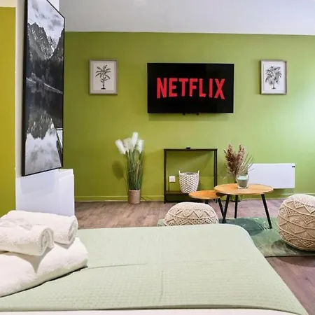 Jacuzzi Balneo Prive, Jardin Cosy, Fibre Rapide Appartement Roubaix